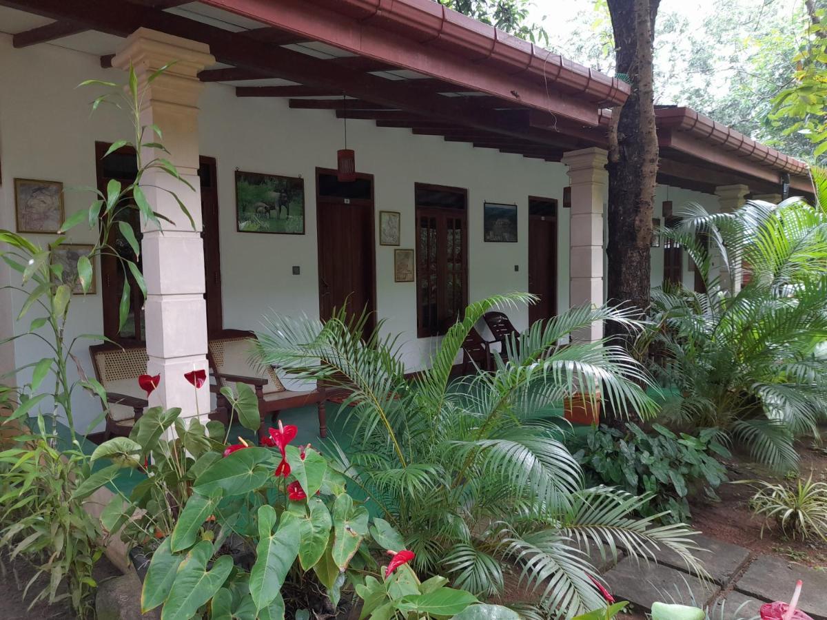 Sigiri Jungle Villa Sigiriya Exterior foto