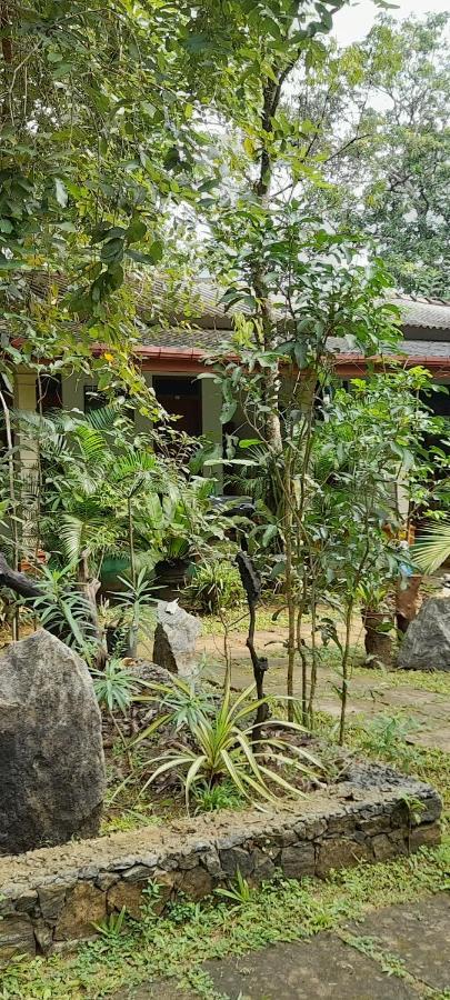 Sigiri Jungle Villa Sigiriya Exterior foto